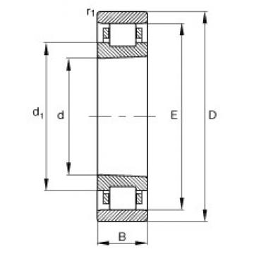 75 mm x 115 mm x 20 mm  FAG N1015-K-M1-SP цилиндрические роликоподшипники