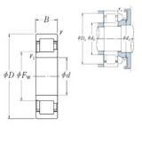 240 mm x 440 mm x 72 mm  NSK NJ 248 цилиндрические роликоподшипники