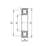 40 mm x 80 mm x 18 mm  FAG 20208-K-TVP-C3 сферические роликоподшипники