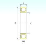 95 mm x 170 mm x 32 mm  ISB NUP 219 цилиндрические роликоподшипники