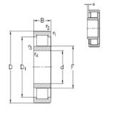 240 mm x 500 mm x 155 mm  NKE NU2348-E-MA6 цилиндрические роликоподшипники