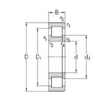 70 mm x 125 mm x 31 mm  NKE NUP2214-E-MA6 цилиндрические роликоподшипники