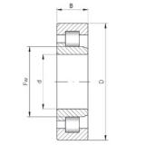 600 mm x 800 mm x 118 mm  ISO NJ29/600 цилиндрические роликоподшипники