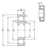 65 mm x 120 mm x 23 mm  NKE NJ213-E-MA6 цилиндрические роликоподшипники