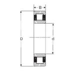 95 mm x 200 mm x 45 mm  SIGMA NU 319 цилиндрические роликоподшипники