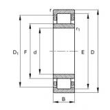 110 mm x 280 mm x 65 mm  FAG NU422-M1 цилиндрические роликоподшипники